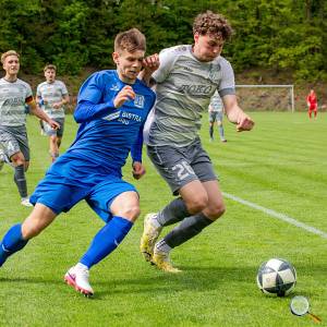 Foto: Bodo Hering / BFV 08